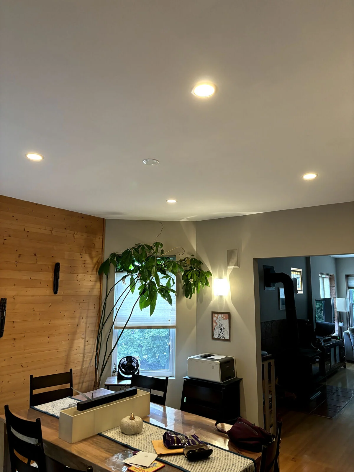 Dining-room-lights-